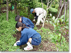 大森南圃場での保育園児の芋掘り
